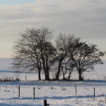 Skærmbillede 2013-12-18 kl. 11.07.53